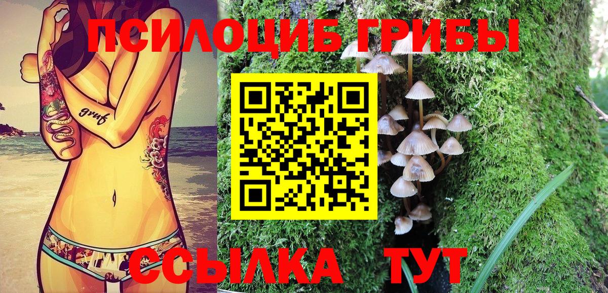 Менделеевск  Галлюциногенные грибы ЛСД  Галлюциногенные грибы Psilocybine cubensis  Вход с VPN 